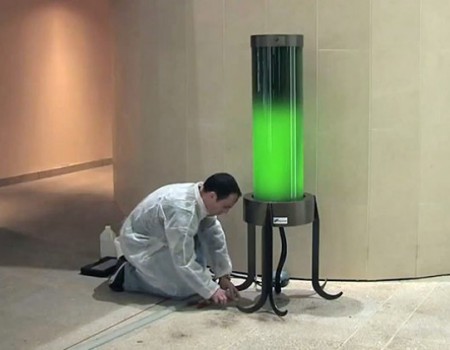 Umweltfreundliche Revolution! – Die Algenlampe